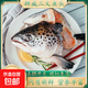 榭巢金選挪威三文魚(yú)魚(yú)頭魚(yú)骨排大西洋鮭魚(yú)魚(yú)骨排香煎燉湯三文魚(yú)邊 三文魚(yú)魚(yú)頭+魚(yú)骨 2.5斤 2份