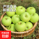 山西青蘋(píng)果酸甜爽口新鮮小青蘋(píng)果新鮮水果酥脆整箱華北強單果60mm 帶箱2斤60mm+