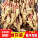 新鮮紅芽嫩仔姜現挖現發(fā)生姜蔬菜彩椒小黃姜洋蔥水果生鮮生姜 紅芽嫩姜現挖發(fā)帶泥凈重250克裝
