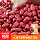 中粒紅皮花生 花生米中粒紅皮生花生米五谷雜糧粗糧 紅皮花生米1斤 中粒