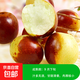 棗樹(shù)活苗沾化冬棗苗樹(shù)帶土球南方種植冰糖大棗樹(shù)苗當年結果 【沾化冬棗2棵裝】-精選6年苗（當年結果） 81cm(含)-110cm(含)