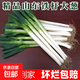 正宗山東大蔥鐵桿長(zhǎng)蔥好吃新鮮脆甜香章丘大蔥蔥頭當(dāng)季蔬菜可生吃 5斤【源頭直采包郵】
