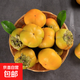 山西巧克力脆柿子當(dāng)季新鮮水果脆甜柿子新鮮柿子單果100g+ 山西脆柿子單果100g+ 帶箱5斤