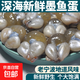 精品大號(hào)東海墨魚(yú)蛋寧波特產(chǎn)海鮮漁家新鮮淡味烏賊蛋大號(hào)目墨魚(yú)蛋 2盒墨魚(yú)蛋【250g/盒】