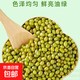農家綠豆 中小顆粒 新豆打豆漿發(fā)豆芽綠豆湯綠豆沙粽子 小粒綠豆900g