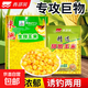 西部風(fēng)米翹生鮮玉米甜糯嫩玉米粒青草鯉鳊魚(yú)翹嘴野釣魚(yú)餌打窩料 精選甜嫩玉米100克【10包】 無(wú)規格