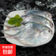 銀鯧魚(yú)1斤4條 魚(yú) 舟山漁場(chǎng)新鮮冷凍野生海捕白鯧魚(yú)深海平魚(yú)昌魚(yú) 舟山鯧魚(yú)【2斤】-共發(fā)8-9條