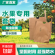 水果套袋枇杷袋套柚子芒果梨子桃子蘋(píng)果枇杷果套袋專(zhuān)用袋育果袋紙 雙層外黃內黑15x18cm（100個(gè)）