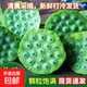 【超好吃】水果蓮蓬新鮮現(xiàn)摘當(dāng)季鮮蓮蓬應(yīng)季水果新鮮蓮蓬整顆鮮果 3斤