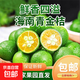 海南青金桔新鮮小金桔 1斤大果（10g-20g）