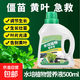 水培植物專用營養(yǎng)液富貴竹郁金香銅錢草肥料通用型水栽爛根黃葉 水培專用營養(yǎng)液500ml