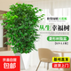 幸福樹客廳盆栽大型老樁綠植物辦公室內(nèi)平安樹盆景植物四季好養(yǎng)祿 精品叢生幸福樹0.9-1.1m[菱形樹脂盆]