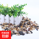花玥園鵝卵石雨花石原石天然小石子盆栽園藝五彩魚(yú)缸花盆鵝軟石裝 高拋五彩0.5-1厘米1斤