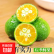 海南小金桔小青檸新鮮青柑青桔皮薄當(dāng)季水果青檸檬奶茶店專用 海南青金桔1斤 單果5-10g
