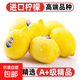【檸檬水】南非進(jìn)口新鮮黃檸檬水果自制茶飲口味純正泡椒檸檬雞爪 單果100-120g 12粒裝