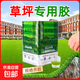 草坪專(zhuān)用膠假草皮環(huán)保大桶膠水人工仿真草戶(hù)外防水學(xué)校操場(chǎng)幼兒園 防水草坪膠2公斤-贈(zèng)送刷子刮板
