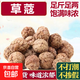 香料調(diào)料大全家用商用香料組合花椒八角桂皮香葉大料鹵料火鍋炒菜 草蔻【50g】