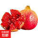 萬(wàn)亦四川會(huì )理軟籽紅石榴新鮮現摘皮薄爆汁當季水果產(chǎn)地直發(fā) 單果250g+ 2個(gè)裝