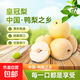 河北皇冠梨泊頭皇冠梨產(chǎn)地直發(fā)精品大果脆甜多汁新航線1 2斤箱裝+精品大果（含箱重）