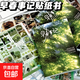 早春事記貼紙書(shū)diy切膜日記文字拼貼裝飾咕卡手賬ins素材 早春日記貼紙書(shū)1本