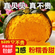 貝貝南瓜新鮮板栗味老南瓜正宗甜粉糯嬰兒小南瓜5斤包郵水果蔬菜 帶箱【貝貝南瓜】 9斤