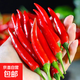 新鮮小米椒特辣辣椒 小米椒250g