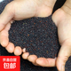 油菜花種子室外高產(chǎn)觀(guān)賞食用耐寒耐旱春油菜花籽榨油菜籽花海種孑 高產(chǎn)油菜籽1斤