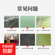 復合枯草芽孢桿菌水產(chǎn)養殖專(zhuān)用em菌種魚(yú)池蝦蟹調水凈水劑益生菌種 復合芽孢桿菌*5袋