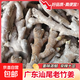 廣東正宗小黃姜新鮮現挖生姜農家自種嫩姜 100g【普通裝】
