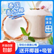 水果碼頭泰國進(jìn)口香水奶椰天然椰青 送彩虹吸管送開(kāi)椰器單果900g 水果碼頭香水椰9粒裝送開(kāi)椰器吸管