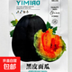 甜瓜種子蜜瓜哈密瓜蜜寶香瓜早熟高產(chǎn)抗病薄皮香甜羊角蜜水果種子 藝淼黑皮面瓜【原裝200?！?袋