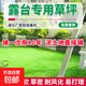 露臺仿真草坪鋪墊人工假草皮隔熱樓頂戶(hù)外綠色裝飾陽(yáng)光房人造地毯 2厘米加密優(yōu)質(zhì)春草【92%客戶(hù)選擇】 【0.5米寬X0.5米長(cháng)】