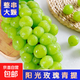 陽(yáng)光玫瑰葡萄晴王青提香水提子新鮮現摘時(shí)令水果無(wú)籽脆甜多汁 帶箱6斤/凈重5-5.5斤/10g+