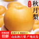 山東豐水梨子新鮮水果黃皮花脆甜酥翠冠酥雪梨當(dāng)季采摘源頭直發(fā) 【8.5斤】山東秋月梨