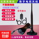 開(kāi)博視K-Box高清電視天線(xiàn)無(wú)網(wǎng)絡(luò )看電視神器數字接收器地面數字電視室內dtmb天線(xiàn)高清地波天線(xiàn) 帶放大器5米天線(xiàn)送轉接頭【只支持數字電視】
