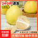 正宗梅州白心蜜柚沙田柚新鮮水果現摘直發(fā)丫丫 大果/2.5-3.5斤 4粒裝【實(shí)惠】