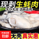 鮮活生蠔現(xiàn)剝生蠔肉新鮮牡蠣肉去殼純蠔仔肉海鮮水產(chǎn)京東包郵 2斤裝海蠣肉（100-120頭/斤）