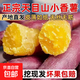 臨安天目山小香薯寶寶輔食板栗紅薯蔬菜榴蓮蜜薯整箱批發(fā) 現挖小香薯 (中大果） 9斤