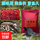 紅蟲(chóng)粉釣魚(yú)魚(yú)餌餌料添加野釣低溫鯽魚(yú)鯉魚(yú)鳊魚(yú)黑坑窩料通用釣餌 【精研】紅蟲(chóng)粉300克/1包