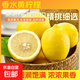 香水黃檸檬新鮮現摘新鮮檸檬奶茶店滿(mǎn)滿(mǎn)維C薄皮當季黃檸檬 單果(70-110g) 6粒