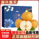 山東豐水梨子新鮮水果黃皮花脆甜酥翠冠酥雪梨當(dāng)季采摘源頭直發(fā) 【4.5斤禮盒裝】秋月梨6個(gè)