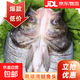 南灣湖信陽(yáng)胖頭魚(yú)白鰱鳙魚(yú)頭清燉南灣魚(yú)頭湯魚(yú)頭新鮮包郵 南湖灣大鰱魚(yú)頭約2斤/個(gè) 4斤（2個(gè)）