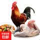 散養(yǎng)黑腳大公雞4斤青腳公雞新鮮公雞走地雞整雞煲湯 4-4.5斤*2只大公雞