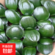 君子蘭圓頭和尚小苗短葉寬葉元寶君子蘭室內(nèi)客廳植物花卉盆栽 圓頭和尚5-6片葉子 含盆