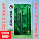 黃瓜種子水果黃瓜籽種青瓜油亮黃瓜四季高產(chǎn)水果蔬菜種籽春秋播種 神禾津研四號黃瓜【原裝60?！?袋