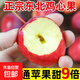 【大果】正宗東北雞心果錦繡海棠果小蘋(píng)果果酸甜可口新鮮水果 重量（中大果） 5斤大果