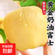 煙臺奶油富士蘋(píng)果 山東棲霞黃蘋(píng)果應季新鮮水果整箱 奶油富士蘋(píng)果4.5-5斤單果80mm+
