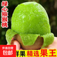 陜西亞特獼猴桃綠心大果奇異果孕婦當季甜水果鮮果產(chǎn)地直銷(xiāo)水果 帶箱10斤【大果90-100g】約45-48枚