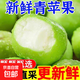 青蘋(píng)果新鮮當季水果陜西綠蘋(píng)果現摘包郵 70mm＋帶箱9斤