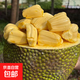海南熱帶特產(chǎn)新鮮黃肉菠蘿蜜水果現摘現發(fā) 京東快遞包郵 云南新鮮菠蘿蜜10-12斤